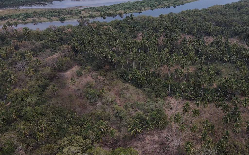 Registra INAH dos sitios arqueológicos que sobrevivieron a la Conquista en la Costa Grande de Guerrero